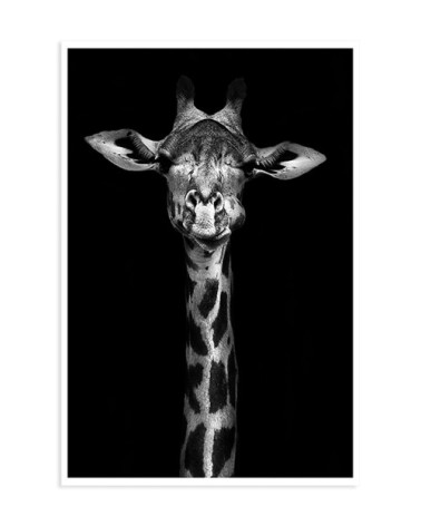 Affiche girafe haute en portrait 30x45cm