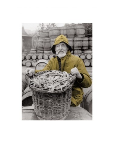 Photo ancienne couleur pêche n°81 alu 70x105cm