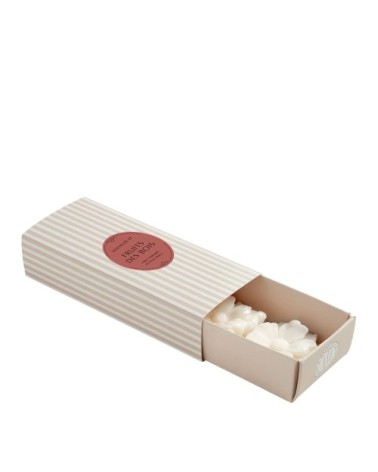 Coffret de 3 décors fondants en cire parfumée - fruits des bois