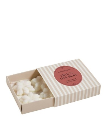 Coffret de 4 décors fondants en cire parfumée - fruits des bois