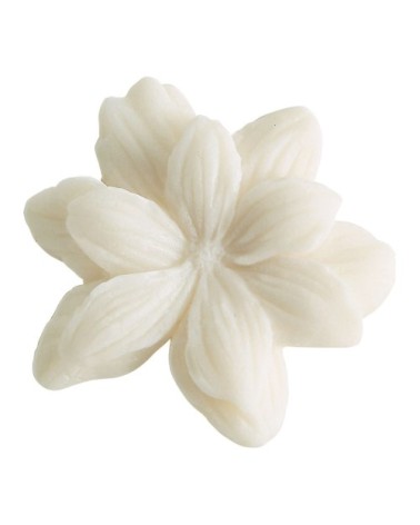 Coffret de 4 décors fondants en cire parfumée - fruits des bois