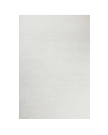 Tapis tufté poils longs gris blanc doux pour salon, chambre 170x120