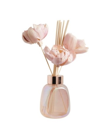 Diffuseur de parfum d'ambiance - fruits des bois