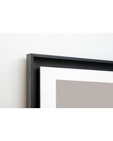 Photo ancienne noir et blanc avion n°14 cadre noir 30x45cm