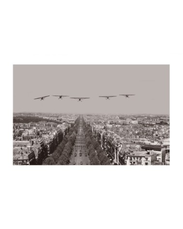 Photo ancienne noir et blanc avion n°14 alu 30x45cm
