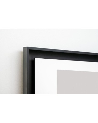 Photo ancienne noir et blanc cheval n°13 cadre noir 30x45cm