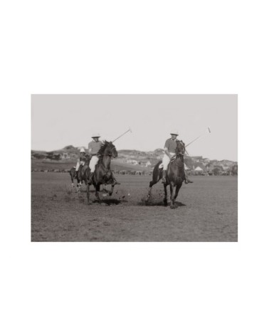Photo ancienne noir et blanc cheval n°13 alu 30x45cm