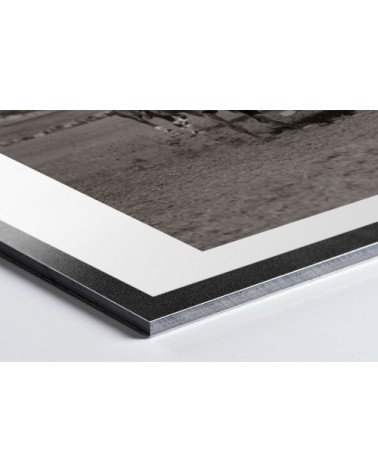 Photo ancienne noir et blanc cheval n°13 alu 30x45cm