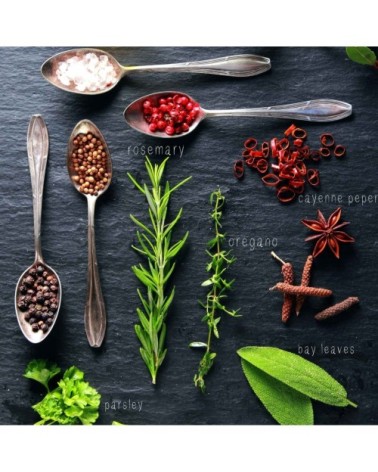 Tableau sur toile ingrédients 45x45 cm