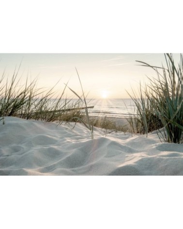 Tableau sur toile coucher de soleil 30x45 cm