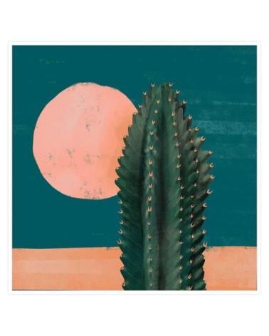 Affiche illustration cactus et soleil rose 30x30cm