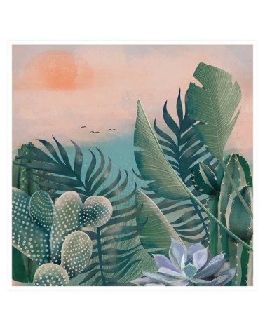 Affiche illustration jardin succulentes et cie 30x30cm