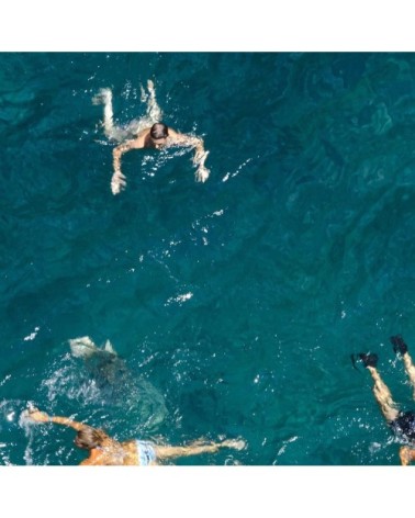 Tableau alu dibond tous à l'eau! 100x60cm