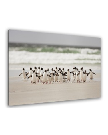 Tableau animaux pingouins toile imprimée 80x50cm