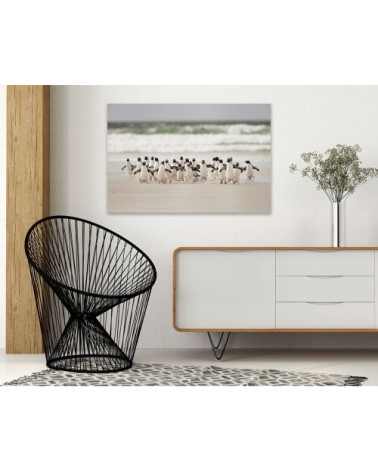 Tableau animaux pingouins toile imprimée 120x80cm