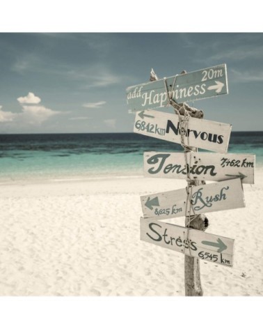 Tableau sur toile panneau amusant 30x30 cm