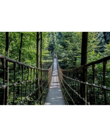 Tableau sur toile pont suspendu 30x45 cm