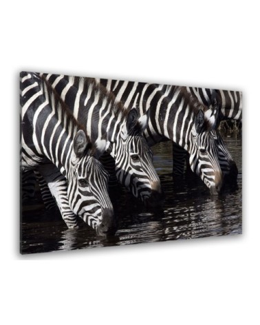 Tableau photo zèbres toile imprimée 50x30cm