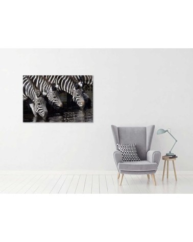 Tableau photo zèbres toile imprimée 100x60cm