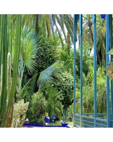 Tableau alu dibond jardin Majorelle 80x50cm