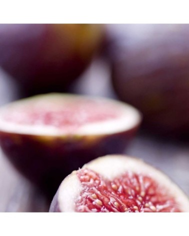 Tableau figue toile imprimée 50x80cm