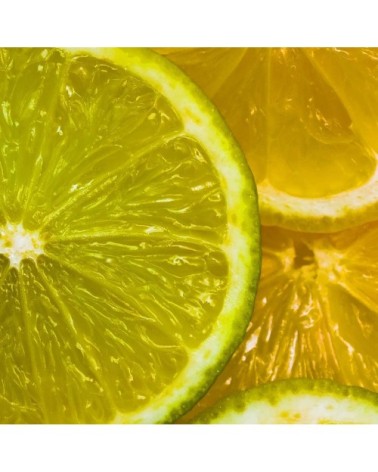 Tableau alu dibond tranches de citron 50x30cm