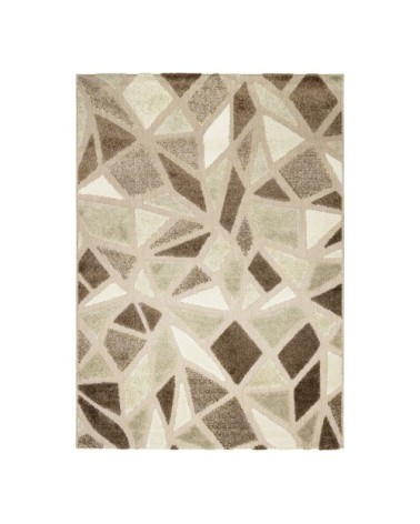 Tapis pour intérieur-extérieur beige et brun 160x230