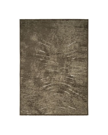 Tapis pour intérieur-extérieur brun 160x230