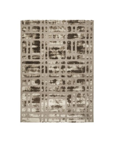 Tapis pour intérieur-extérieur beige et brun 160x230