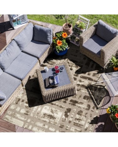Tapis pour intérieur-extérieur beige et brun 160x230