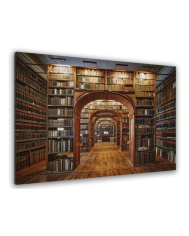 Tableau librairie des sciences toile imprimée 50x30cm