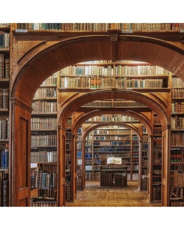 Tableau librairie des sciences toile imprimée 50x30cm