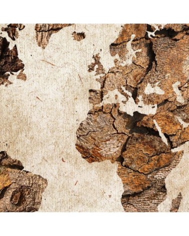 Tableau carte du monde effet bois toile imprimée 80x50cm
