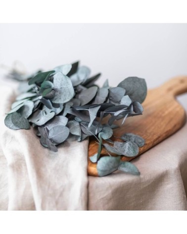 Botte Eucalyptus stabilisé