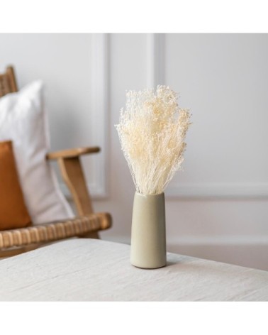Botte Broom bloom blanc