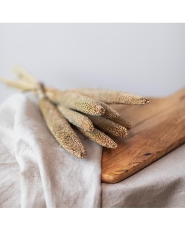 Botte de Babala naturel