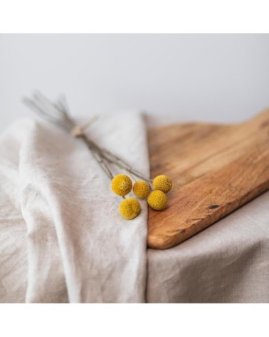 Botte Craspedias jaunes