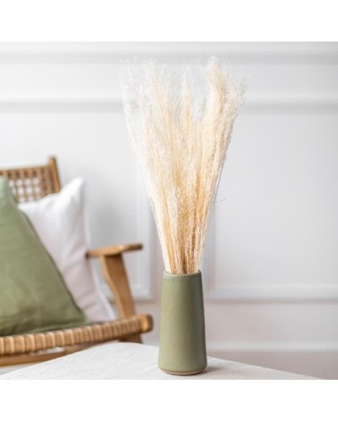 Fleurs séchées herbes beiges