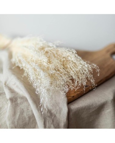 Fleurs séchées herbes beiges