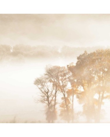 Tableau alu dibond terre du vent 120x80cm