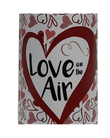 Bouteille isotherme en inox 500ml