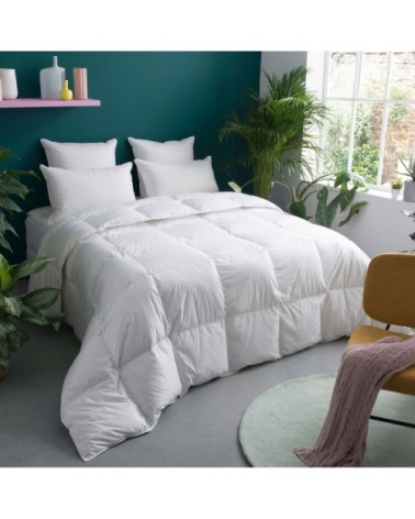 Couette LEGERE 80% Duvet - Coton  200x200 cm - Wake Me Green