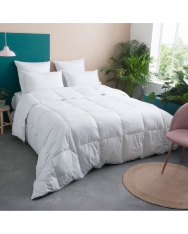 Couette TEMPEREE 70% Duvet - Coton  220x240 cm - Wake Me Green