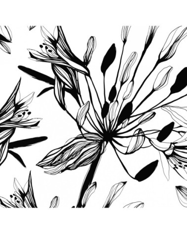 Papier peint panoramique fleur graphique 340 x 250  noir et blanc