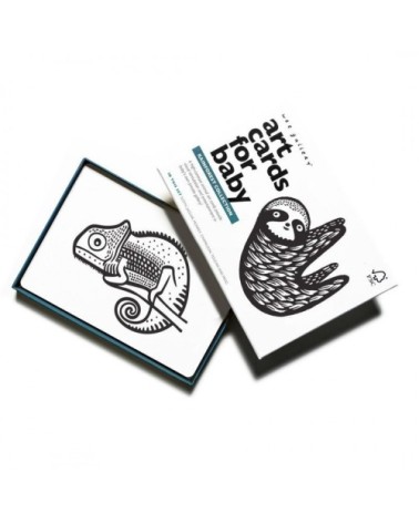 Cartes imagier animaux - Animaux tropicaux Blanc / Noir