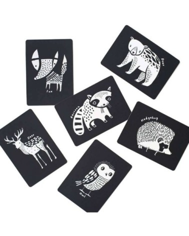Cartes imagier animaux - Animaux de la Forêt Blanc / Noir