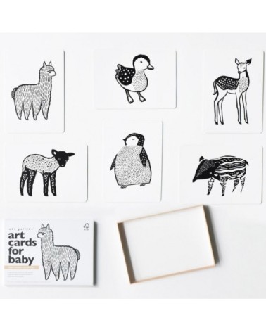 Cartes imagier animaux - Bébés animaux Blanc / Noir