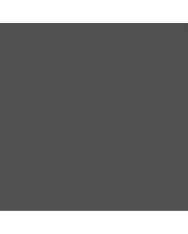 Papier peint intissé paradiso uni gris 1005x52cm