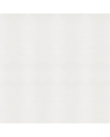 Papier peint à peindre Louis blanc 1005x52cm