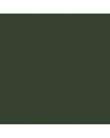 Papier peint intissé uni feuilles élégance vert 1005x52cm